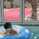 메모아르 경주 이미지