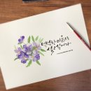 수채화캘리그라피 이미지