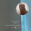 위닛 아시아드점 | 내돈내산 사직미용실 매직후기 위닛 아시아드점