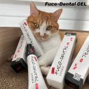 니드덴탈 | [페피테일]참 후코덴탈 겔 내돈내산후기