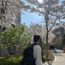 라바하우스 민박 | 여행 1-2일차 | 아시아나항공, 메리톤 스위트 월드타워 코너스위트, 오페라바, 왓슨스베이, 스테이크 맛집
