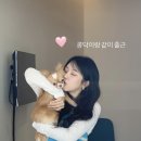 예원 이미지