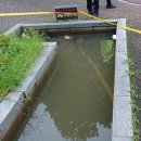 부천소방서119구조대 이미지