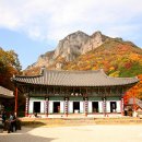 백양사 이미지