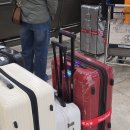 차와 함께 세계여행 | 세계일주 크루즈 출항의 순간, 피스보트 123항차 단체이동 리얼 후기