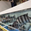 남경횟집 이미지