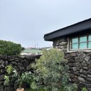 [제주 구좌 숙소] 하도 가을이네 큰동: 하도리 독채 돌담집에서 2박 3일 (제주애견동반펜션)