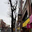 부산대 미용실 [신길이네미장원 부산대점] 모완10 염색 후기(미리 수석디자이너님 최고!)