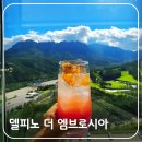 더델가장어나라 | 고성 소노펠리체 델피노 더 엠브로시아 카페 오후 방문 솔직 후기, 오픈런을 해야 하는 이유