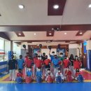 용인대용진태권도장 이미지