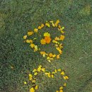 태국골프 그린월드 소식지 이미지