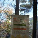 묵계초등학교 | [지리산] 청학동 골짜기 회남재