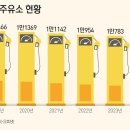 51주유소 이미지