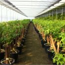 김경태농장 이미지