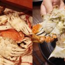 꽃게별곡 이미지