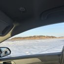 오솔길 | 제부도 애견동반 대형카페 오솔길정원 내돈내산 강추후기