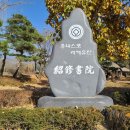 인삼마을벌꿀 이미지