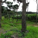 일봉농장 이미지