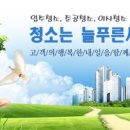 더푸른세상 이미지