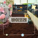 키즈포레 | 광명 분리형 키즈카페 바이포레 내돈내산 후기