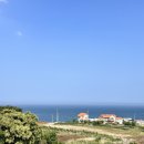 비발디나인풀빌라 | 포항 독채 펜션 가족 숙소 구룡포 비발디나인풀빌라 102동