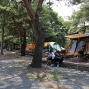 청천화양동관광농원  초롱이 캠핑장 이미지