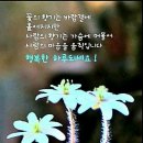 천년약속 이미지