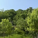 천안밤나무골가족사랑캠핑장 | 천안밤나무골가족캠핑장 완전정복!