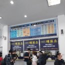 울릉도선창호텔 이미지