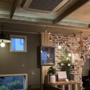 카페젤코바 이미지