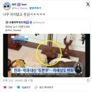 차례상에 두쫀쿠 올려서 뉴스탄 버츄얼 유튜버 이미지
