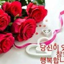 행복꽃