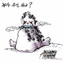 오늘의신문 만평 (TODAY CARTOON) 2017년 5월 9일 화요일 이미지