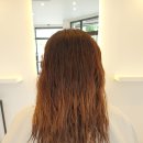 bd Hair 이미지