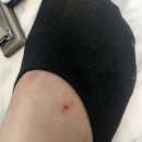 수치골민박 네이버블로그