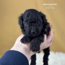 토리 - 안산시 단원구 중앙대로 921 | 토리