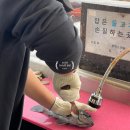 [당진/그린좌대] 장고항 좌대낚시 우럭 자연식 낚시