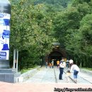 와인터널 이미지