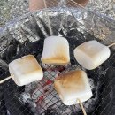 포레이즈 이미지