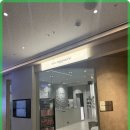비브에스테틱