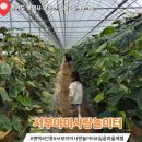 로컬푸드길음마을 이미지