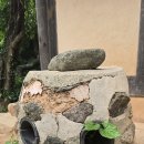 남도맛집 이미지