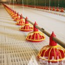 (주)건지 이미지