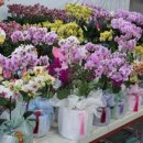 천호대로 213길 이미지