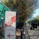연극 &lt;알앤제이&gt; 후기 1탄 - 지금은 깊은 밤