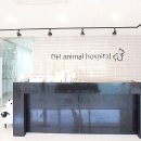대흥동물병원 이미지