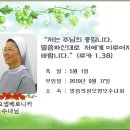 부송동-17 이미지