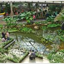 서울화원 이미지