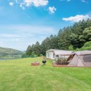 꼬다리우스 독채 펜션 이미지