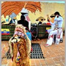 함안 강주해바라기마을 스케치 이미지